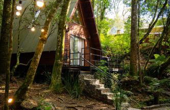 Cabana na Serra Rs - Foto 14