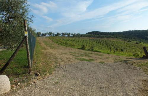 Agriturismo Ai Mandrioli - Foto 65