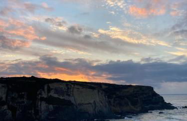 Oleiro de Cima - Foto 21