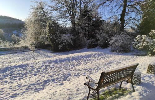 Beautiful Listed Mansion with incredible woodland views - Photo 42