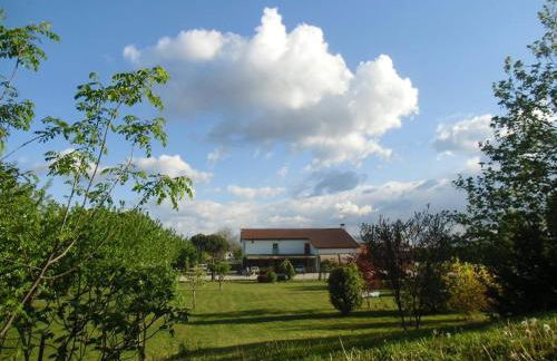 Agriturismo il Podere Vedelago con San Bernardo, Alpaca e una Pentola di cose da scoprire - Foto 52