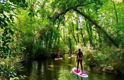 BEACH HOUSE DE CHARME A MESSANGES. LA MAISON BLEUE - Photo 39