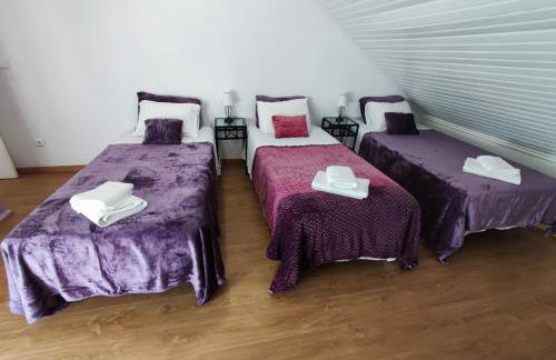 Alenquer T3 Guesthouse - Foto 11