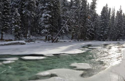 Picturesque Cottage for a Riverside Retreat near Big Sky, Montana - Foto 30