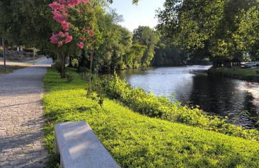 Aromas do Vouga - Foto 14