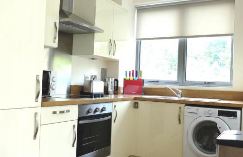 Basingstoke Apartments, Alencon Link Executive Serviced Apartments - Foto 7