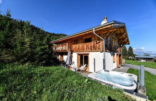 Vielyterra - Chalet haut de gamme - Domaine du mont blanc - Foto 8