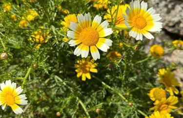 VILLA GIORGIA - Foto 8