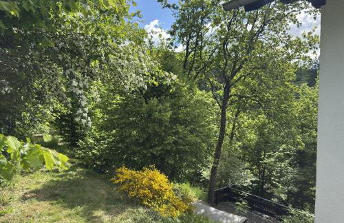 Ferienhaus Sackpfeifenblick, Hatzfeld - Photo 69