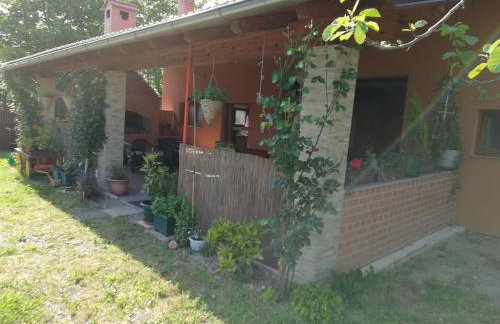 Paun - Photo 2