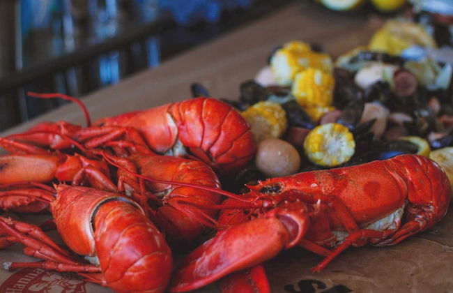 Bear Mountain Lodge - Foto 50