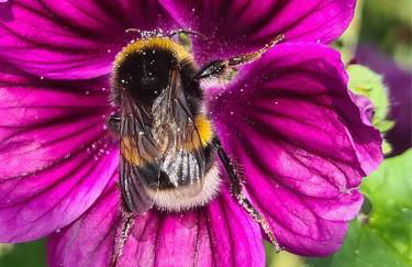 Hof zur Nette -Stilvoller Rückzugsort im Herzen des Maifelds - Foto 37