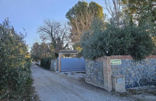 Vega de la Reina - Foto 2