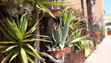 Appartamenti Claudia Rio - Foto 5