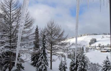 Schwarzwald Chalet Matti in Todtnauberg - Foto 10