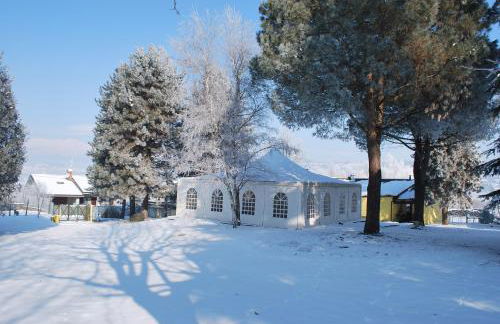 Agriturismo Tra Serra e Lago - Foto 24