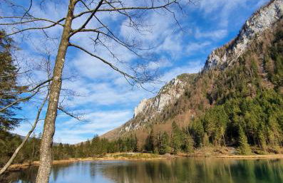 Ferienwohnung BerGlück - Foto 20