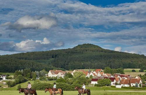 One-bedroom apartment - Foto 20
