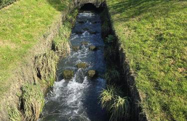 La pause en Seine -Wifi - Foto 46