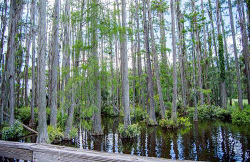 Serene Hideaway - Foto 50