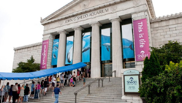 Go City - Chicago All-Inclusive Pass - Hasta 5 días de acceso a más de 35 atracciones - Foto 5