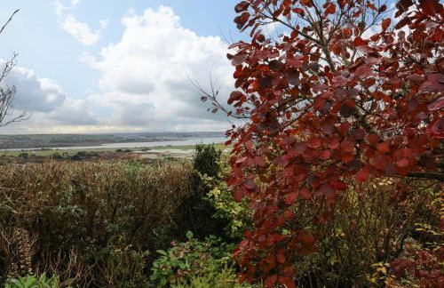 Heanton Lodge - Foto 42