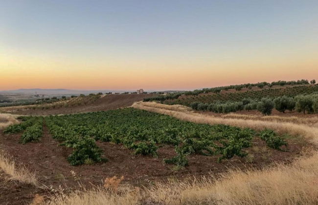 Modern Villa With Garden - Foto 18