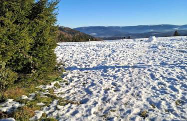 Ferienhaus du Bourguignon, Lorraine - Foto 25