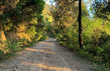 La casa delle stelle - Foto 12