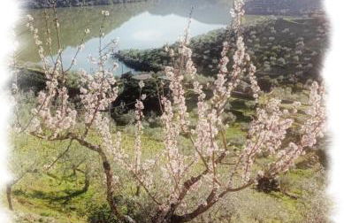 Casa do Rossio - Foto 25