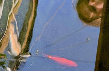 4bedrooms house sleeps14 Garden&Parking Ably Stays - Foto 45