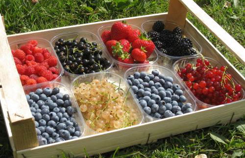 Agriturismo Tenuta Valletti. - Foto 63