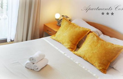 ĆOSIĆ APARTMANI IGRANE - Photo 21