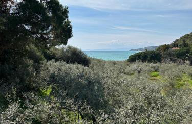 Villa Helga by the Sea - Photo 8