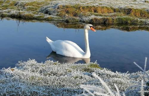 Le logis du heron - Foto 6