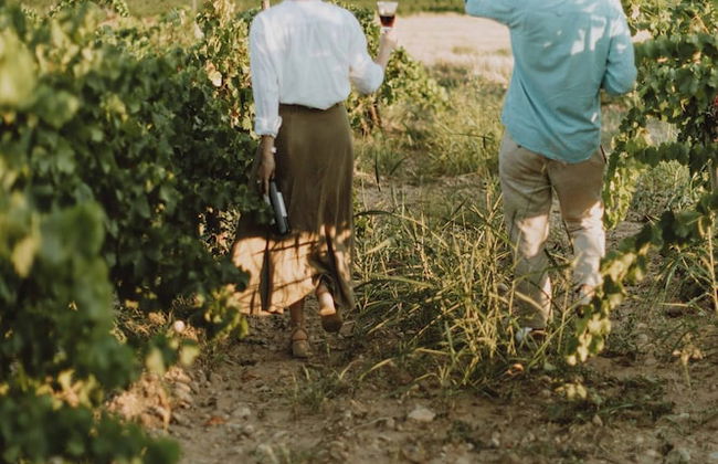 Experience the Rural Spain With Wine, Activities and More at Sidro & Co - Foto 76