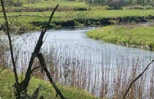 Dom za wydmą - Foto 42