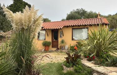 Varias Art House - Foto 39