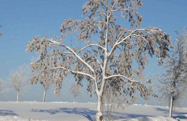 Hill-view Holiday Home in Dankerode Near Lake and Hiking - Foto 44