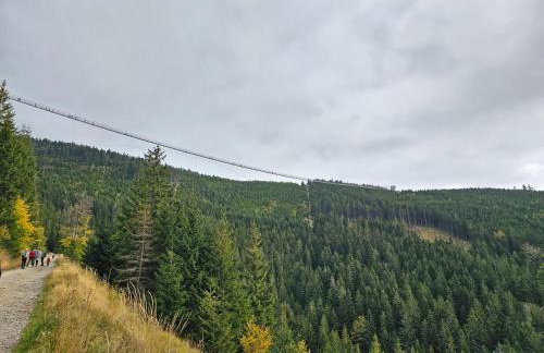 Domki Pod Lasem - Domek Brzozowy - Foto 54