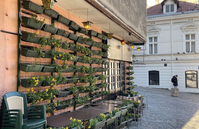 Skadarlija House of the Greats - Photo 35