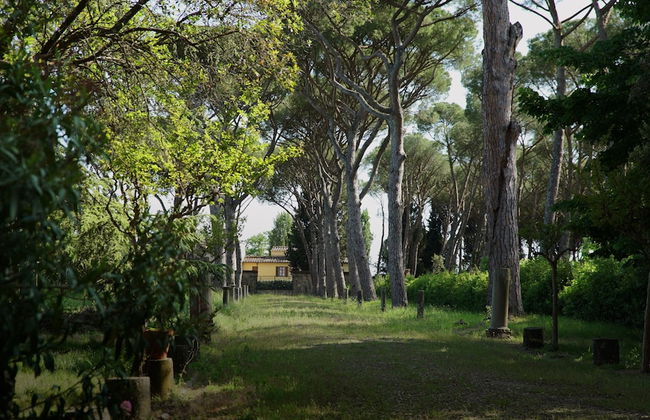 Antico Castello Marignolle - Photo 30