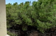 La bouganville Apartments - Foto 60