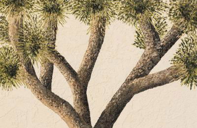 Desert Artist Oasis- Firepit - Spa - 5 min to Joshua Tree - Foto 12