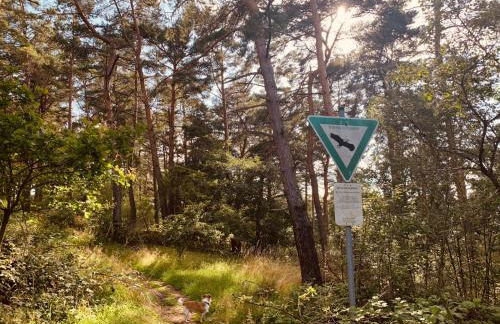 Apartment am Engelsblick - die Eifel direkt vor der Tür - Foto 14