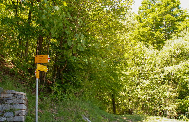 Baita Pimpisnino - Foto 35