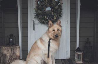 2 - Romantic cabin escape, with outdoor copper bathtub! - Foto 8