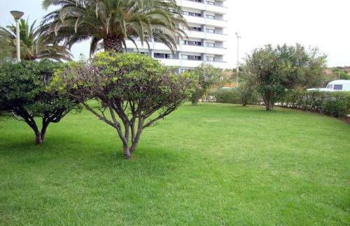 Studio At The Beach - Photo 27