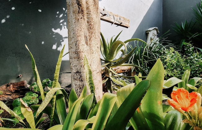 The Seagull Hermanus - Foto 46