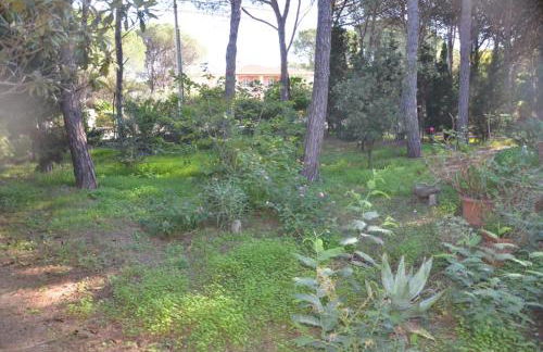 Vacanze Sardegna Mare San Giovanni Posada - Foto 31